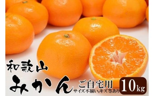 和歌山産 みかん 10kg 【ご自宅用・サイズ不揃い・キズ等あり】【ヤマタ大谷商店】和歌山県和歌山市10000果物・フルーツみかん・柑橘類