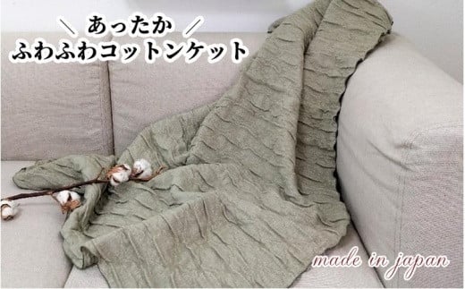 Rbg@ӂӂ uPbg@Ђ|TCYi70×100cmjO[@20012-4@GRa̎Ra̎Rs10000G݁EpiQE^I
