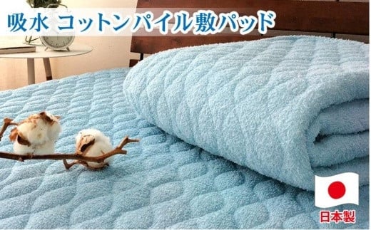 RbgOpC~pbh@VOi100×205cmjPF-1S@u[a̎Ra̎Rs20000G݁EpiQE^I