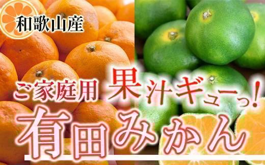 ƒp Lc݂5kg+250giݕ⏞jm2025N10{2026N1{\nmIKE247na̎Ra̎Rs13000ʕEt[c݂Ek