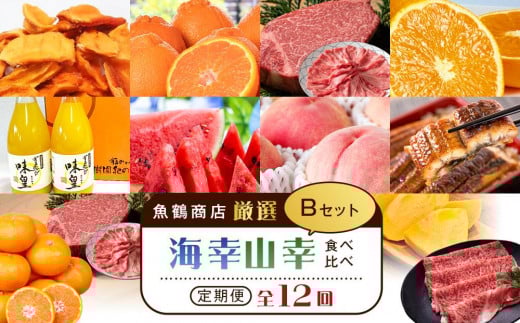 【魚鶴商店厳選!】人気の海幸山幸食べ比べ【定期便全12回】セットB【UT110】和歌山県和歌山市244000果物・フルーツみかん・柑橘類
