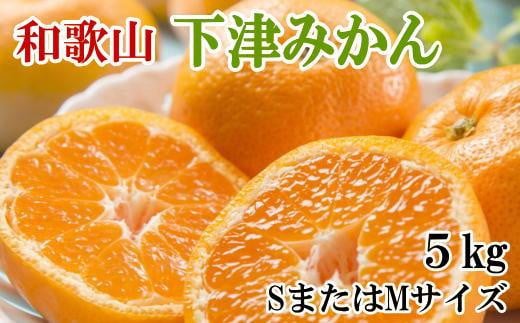 【産直・秀品】和歌山下津みかん約5kg(SサイズまたはMサイズのいずれかをお届け) ★2025年11月中旬頃より順次発送【TM73】和歌山県和歌山市12000果物・フルーツみかん・柑橘類