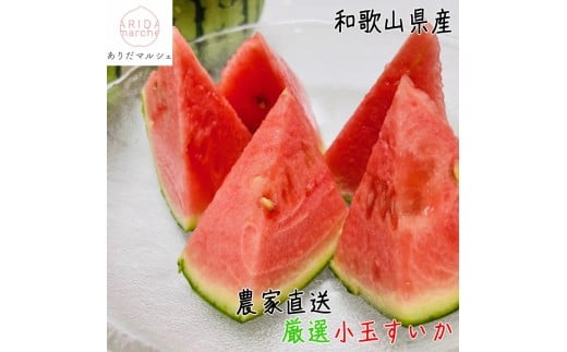 ms\nI ʂ lTCY^Pʓm_ƒnms\nma̎RYnmMS126na̎Ra̎Rs7500ʕEt[cEXCJ