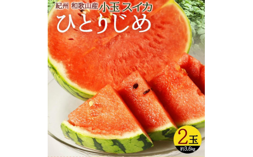紀州和歌山産 小玉スイカ「ひとりじめ」 2玉【2026年6月中旬頃〜2026年7月上旬頃に順次発送】【UT86】和歌山県和歌山市13000果物・フルーツメロン・スイカ