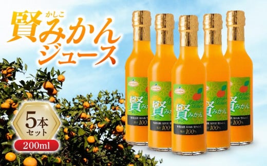 賢みかんジュース200ml 5本セット ギフト和歌山県和歌山市12000お茶・飲料果汁・野菜飲料