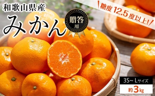和歌山県産 糖度 12.5度以上 秀品 贈答用 みかん 3kg 3S〜L サイズ混合 【NY1】和歌山県和歌山市10000果物・フルーツみかん・柑橘類
