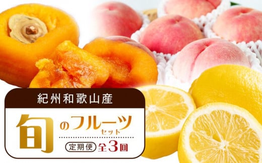 【1・3・7月 全3回】紀州和歌山産旬のフルーツセット(あんぽ柿・レモン・桃) 定期便 【魚鶴商店】【UT65】和歌山県和歌山市46000果物・フルーツその他 果物・フルーツ