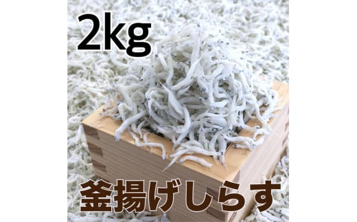 釜揚げしらす2kg【DN4】和歌山県和歌山市28000魚介・海産物その他 魚介・海産物