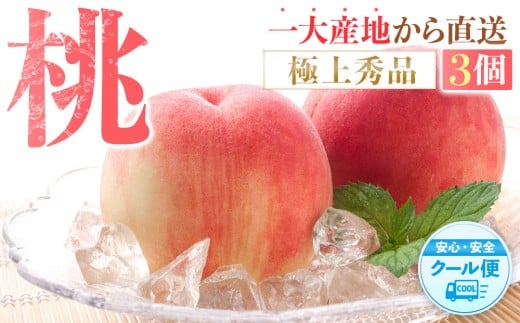  ɏGi Hׂ₷R ms\nm2026N6{菇n_ƌIImKG1na̎Ra̎Rs12000ʕEt[cE