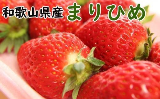 m2026N3na̎RYuhu܂Ђ߁v300g×2pbNmTM99na̎Ra̎Rs9000ʕEt[c