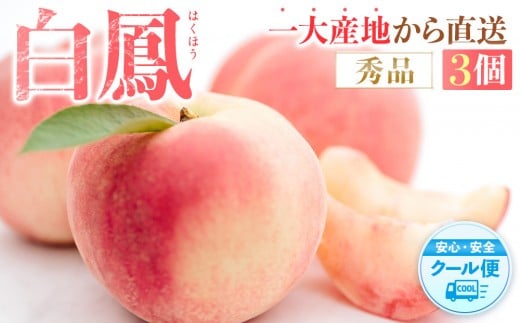 s̔Imn P@̉lIHׂ₷Rm2026N6{菇nmGin_ƌI mKG17na̎Ra̎Rs12000ʕEt[cE