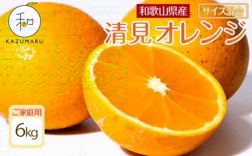 ƒp X{_̎I IW 6kg a̎RY TCY mkCEEzsnmRN38nm2026N2{5{\na̎Ra̎Rs10000ʕEt[c