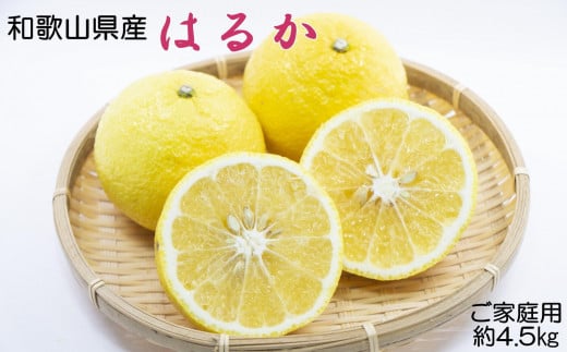 m₩kna̎RY͂邩݂4.5kgiTCY@ƒpj2026N2{菇mTM161na̎Ra̎Rs8000ʕEt[c݂Ek