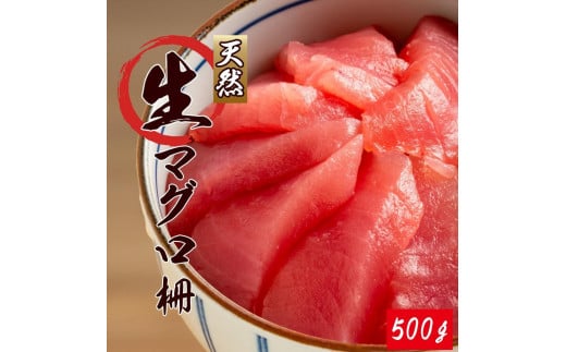 ߒqYIVR܂  500gyUT101za̎Ra̎Rs20000ECYN