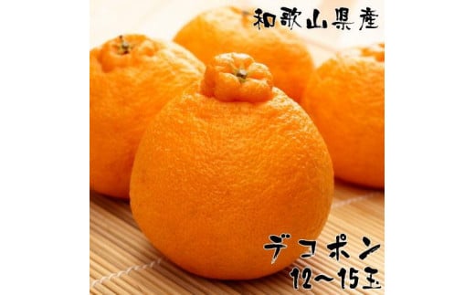 a̎RLc̔ZʃfR| 12`15 5kgms\nmMS79na̎Ra̎Rs19000ʕEt[c݂Ek