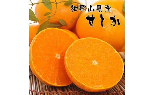 a̎RLc̔ZƂ 4`5kg ms\n |  t[c ʎ ʕ Lc ݂ a̎R@mMS80na̎Ra̎Rs20000ʕEt[c݂Ek