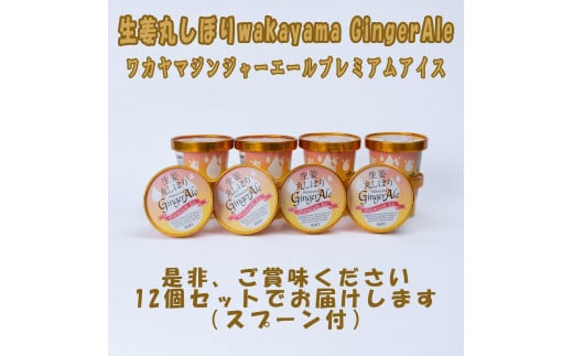 ワカヤマジンジャーエールプレミアム アイス12個和歌山県和歌山市14000菓子・スイーツアイス・ジェラート