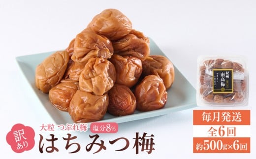 󂠂 ~ 嗱  Ԃ~ ݂͂~ 500g × 6 8 [  ES6 ]a̎Ra̎Rs36000ZbgE؁EHHiЕE~EL`