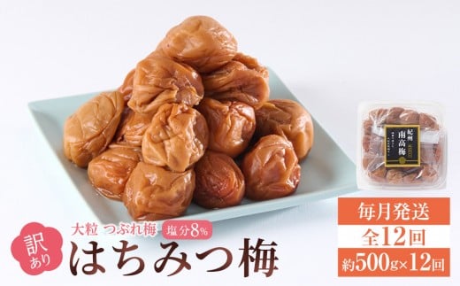 󂠂 ~ 嗱  Ԃ~ ݂͂~ 500g × 12 8 [  ES12 ]a̎Ra̎Rs72000ZbgE؁EHHiЕE~EL`
