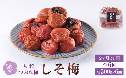 󂠂 ~ 嗱  Ԃ~ ~ 500g × 6 10 [  2ɂP񔭑ES6 ]a̎Ra̎Rs36000ZbgE؁EHHiЕE~EL`