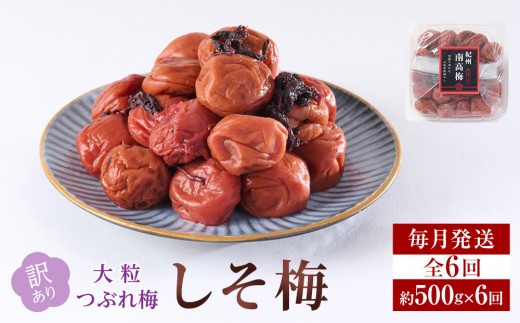 󂠂 ~ 嗱  Ԃ~ ~ 500g × 6 10 [  ES6 ]a̎Ra̎Rs36000ZbgE؁EHHiЕE~EL`