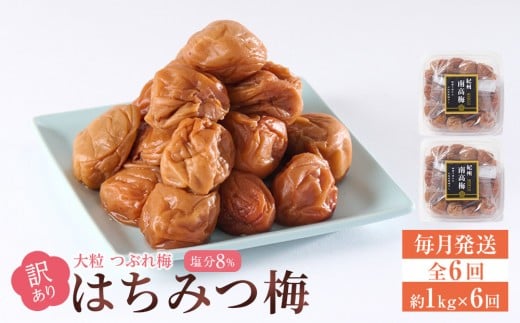 󂠂 ~ 嗱  Ԃ~ ݂͂~ 1kg(500g×2) × 6  8 [  ES6 ]a̎Ra̎Rs72000ZbgE؁EHHiЕE~EL`