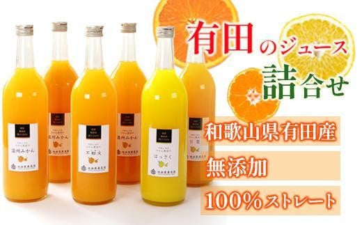 YELc̃W[Xl 720ml×6{E4mނ܂nmIKE240na̎Ra̎Rs20000Eʏ`E؈