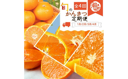 yցEw茎i1E2E3E4jS4zIBa̎RY {̊k Zbg (݂Esm΁EƂE) mUT137wna̎Ra̎Rs52000ʕEt[c݂Ek