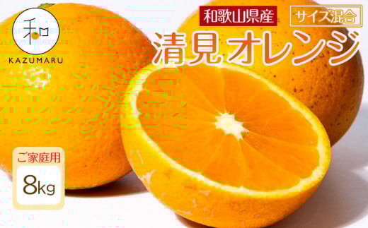 ƒp X{_̎I IW 8kg a̎RY TCY mkCEEzsnmRN48nm2026N2{5{\na̎Ra̎Rs14000ʕEt[