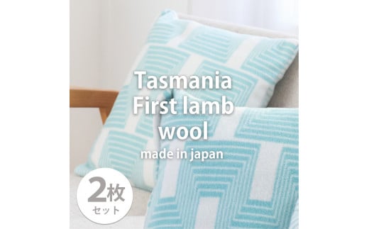 【2枚組】洗えるタスマニアラムウール混クッションカバー 45×45cm OTW-4545-GR-2P和歌山県和歌山市21000衣類・装飾品・工芸品その他 装飾品・工芸品