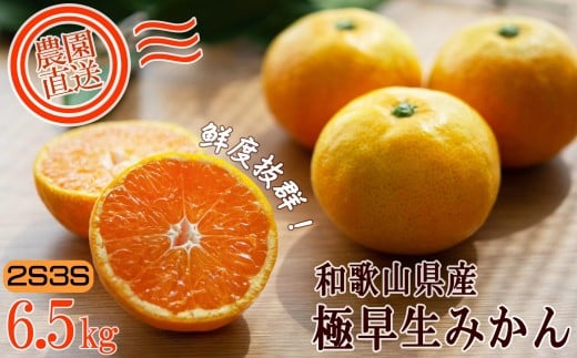 ݂ 6.5kg 2S3STCY 󂠂 a̎RY _ ܂Y݂ y10`11z ykCEꌧEꕔ zsz ɑ݂mMg40na̎Ra̎Rs