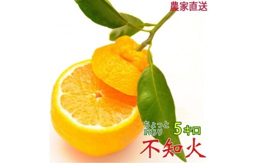 不知火 約5kg 24〜28玉 《ご家庭用》 ちょっと訳あり 和歌山県産 農園直送 まごころ産直みかん 【北海道・沖縄県・一部離島 配送不可】訳アリ わけあり みかん しらぬい デコポンと同じ品種