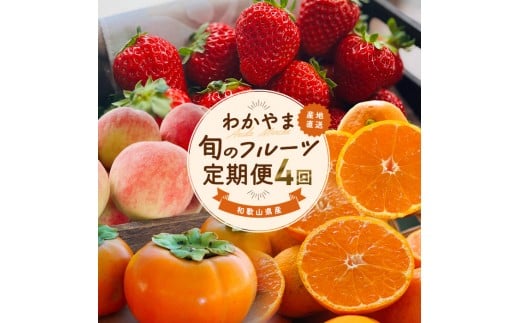 킩܏{̃t[c[L] S4 2`3E7E10E11`12 ƒpmMS124na̎Ra̎Rs87000ʕEt[c݂Ek