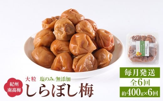 ~ ڂ~ 400g ̂ Y 嗱 IB썂~ 15 a̎RY [  ES6 ]a̎Ra̎Rs45000ZbgE؁EHHiЕE~EL`