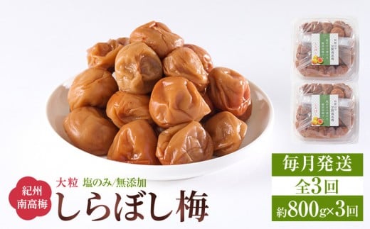 ~ ڂ~  800gi400g×2j ̂ Y 嗱 IB썂~ 15 a̎RY [  ES3 ]a̎Ra̎Rs30000ZbgE؁EHHiЕE~EL`