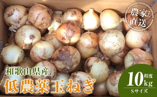 m2026NEs\n_Ƃ񒼑 _ʂ˂ STCY 10kgxm4{`7{\nmKF18na̎Ra̎Rs12000؁Êʂ˂E˂