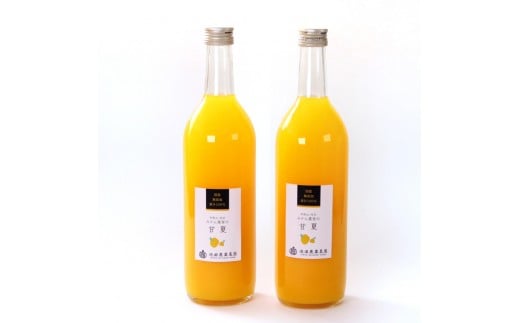 YÉăW[X 720ml×2{mIKE266na̎Ra̎Rs10000Eʏ`E؈