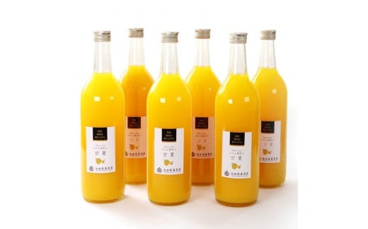 YÉăW[X 720ml×6{mIKE269na̎Ra̎Rs20000Eʏ`E؈