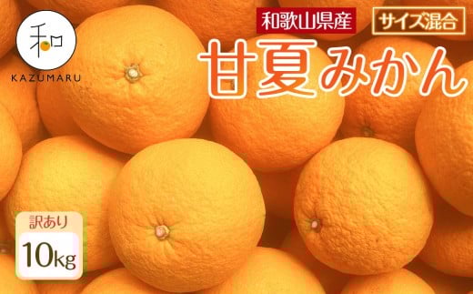 󂠂 X{_̎I ÉĂ݂ 10kg a̎RY TCY mkCEEzsnm2026N4{珇nmRN76na̎Ra̎Rs12000ʕEt[c݂Ek