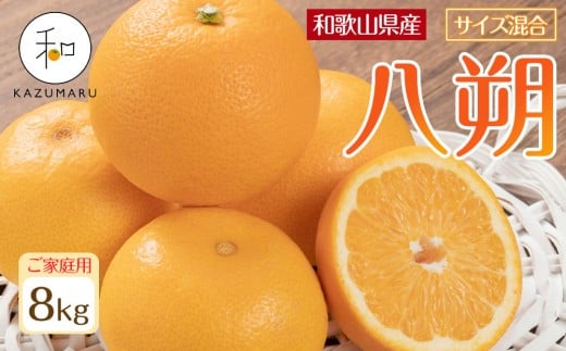 ƒp X{_̎I  8kg a̎RY TCY mkCEEzsnm2026N1{2{\nmRN116na̎Ra̎Rs14000ʕEt[c݂