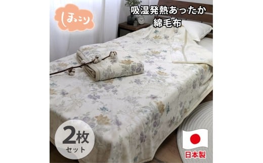 【シングル2枚組】『ほっ』とするやさしい暖かさの綿毛布(140×200cm)×1セット(ベージュ2枚)  SH-36901S-2P和歌山県和歌山市54000雑貨・日用品寝具・タオル