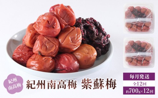 IB썂~ h~ 350g×2 15 [ ES12]a̎Ra̎Rs96000ZbgE؁EHHiЕE~EL`