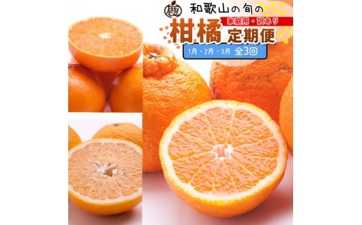 ƒp kSi1`3jS3 mIKE303na̎Ra̎Rs32000ʕEt[c݂Ek