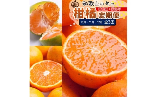 ƒp kMi10`12jS3 mIKE313na̎Ra̎Rs40000ʕEt[c݂Ek