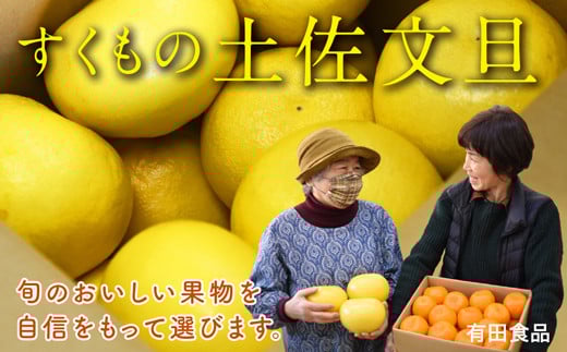 有田食品の土佐文旦10kg家庭用高知県宿毛市10000果物・フルーツみかん・柑橘類