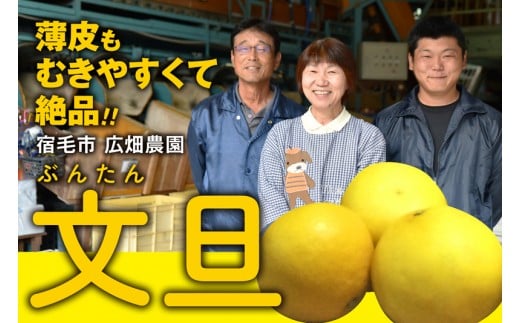 広畑農園の土佐文旦10kg家庭用高知県宿毛市18000果物・フルーツみかん・柑橘類
