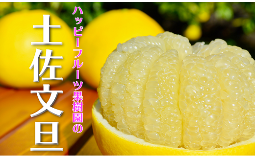 ハッピーフルーツ果樹園の土佐文旦5kg家庭用高知県宿毛市9000果物・フルーツみかん・柑橘類