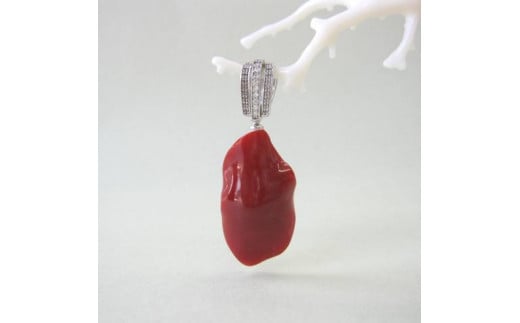 XElق̎X̃y_g5mhюs420000ߗށEiEH|iANZT[