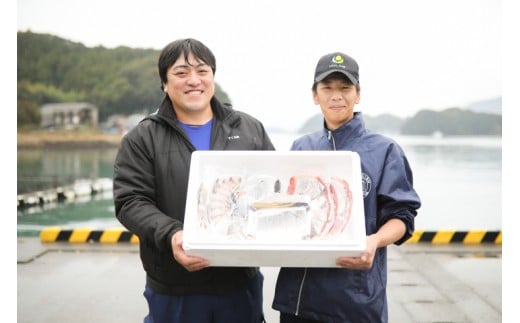 宿毛を代表する「真鯛」と「ブリ」のしゃぶしゃぶ鍋セット高知県宿毛市40000魚介・海産物鮮魚