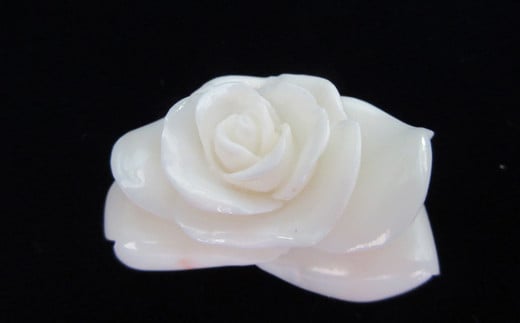 白珊瑚バラの花高知県宿毛市80000衣類・装飾品・工芸品アクセサリー